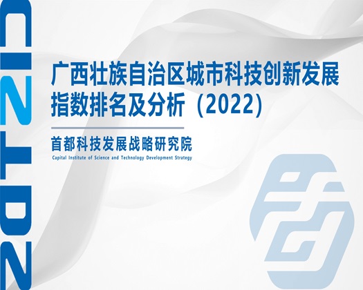 亚洲免费逼奸视频www【成果发布】广西壮族自治区城市科技创新发展指数排名及分析（2022）